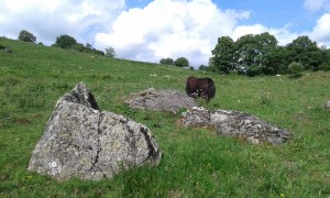 Stone Yak